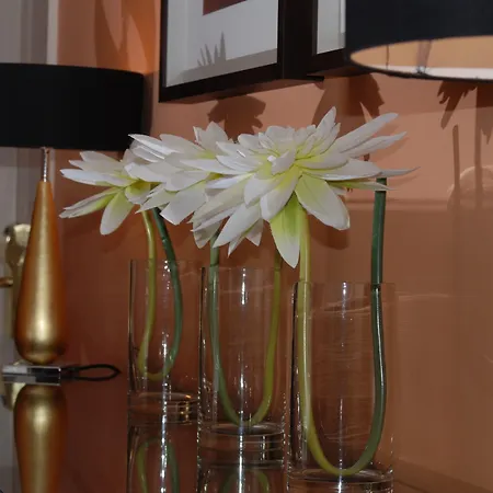 The Fairview Boutique فندق 4*