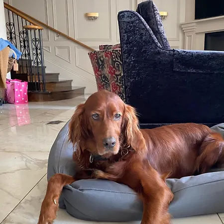 The Fairview Boutique