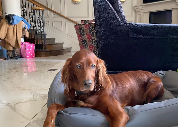 The Fairview Boutique